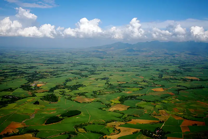 Aerial view of sugarcane fields near Bacolod, Negros Occidental